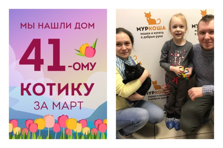 Трёхлетний котик Сироп встретил свою любимую семью!