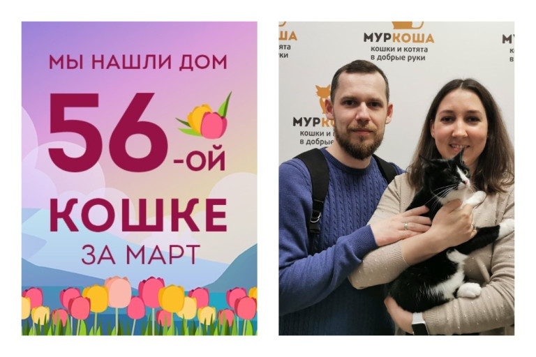 У кошечки Марципан появилась любящая семья!