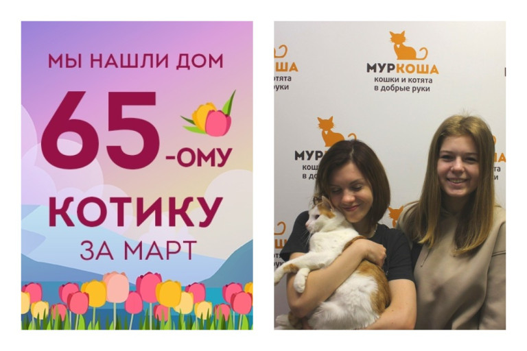 Солнечный котик Бейгл стал домашним любимцем!