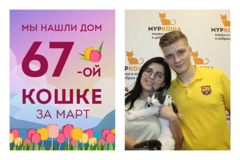 Кошечка Леонсия начинает новую жизнь!