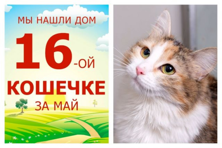 Девятимесячная Катаржина нашла новый дом всего за один месяц!