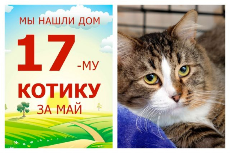 Милый и ласковый Тимоша начинает новую жизнь!