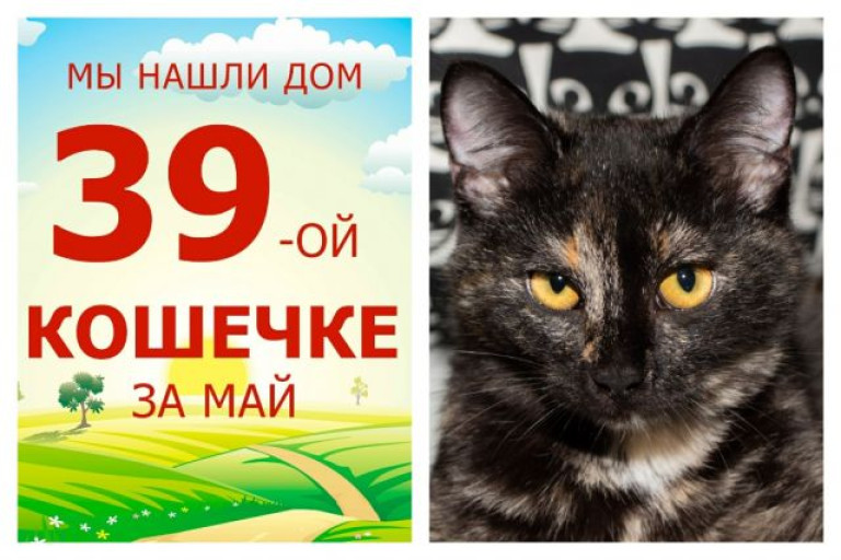 Крошка Синди вытянула счастливый билет!
