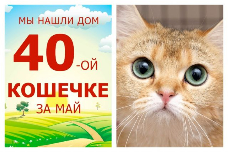 Кошечка Варвара начинает жизнь с чистого листа!