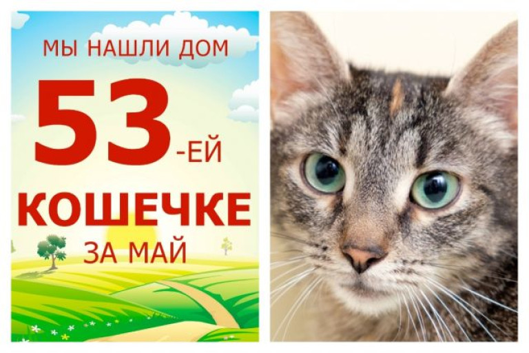 Кошечка Валюшка встретила заботливых хозяев!