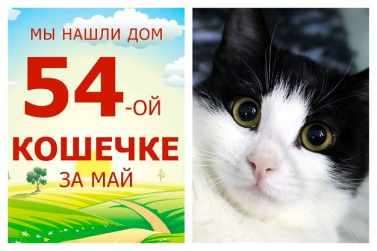 Жизнь особенной малышки Лакрицы теперь в надежных руках!