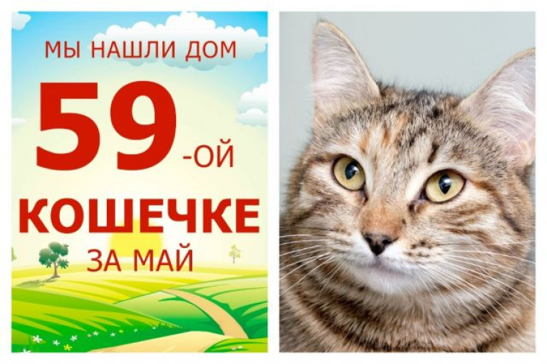 Спустя два месяца обрела дом кошечка Витильда!