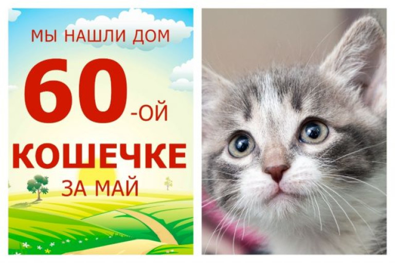 Крошка Флэми стала домашней и любимой за десять дней!