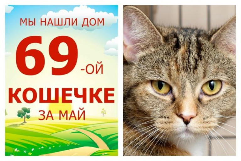 Кошечка Масюня обрела свой настоящий дом!