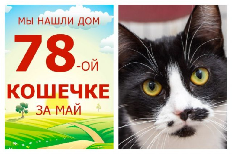 Кошечка Одетта встретила любящую семью!