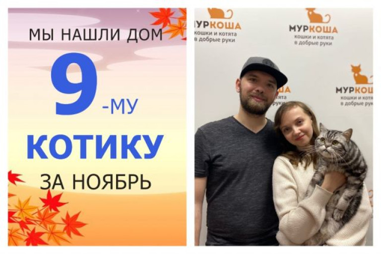 Кот Чингис начинает новую жизнь!