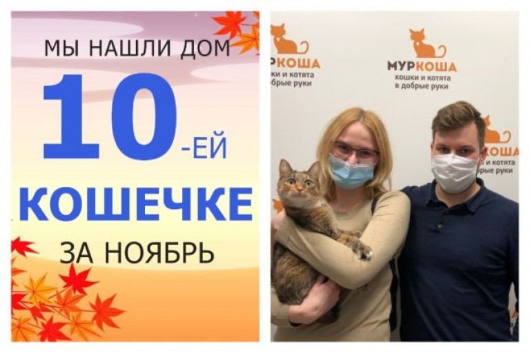 У кошечки Ирки снова появились дом и семья!