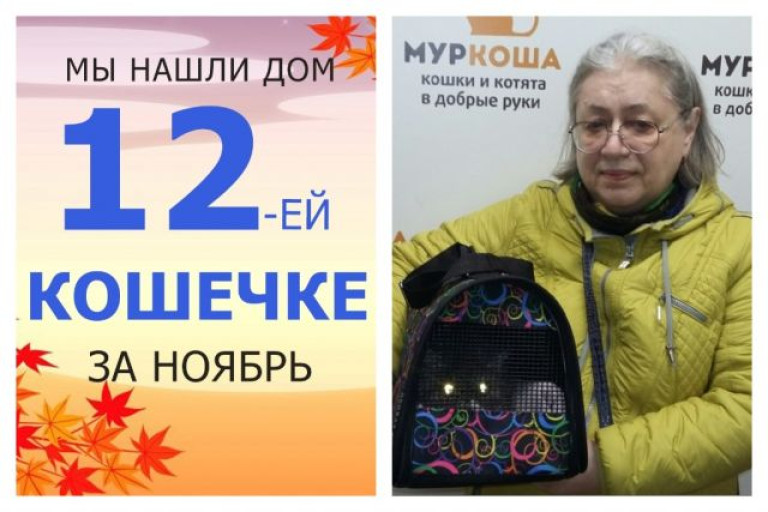 Кошечка Стефани стала домашней любимицей!