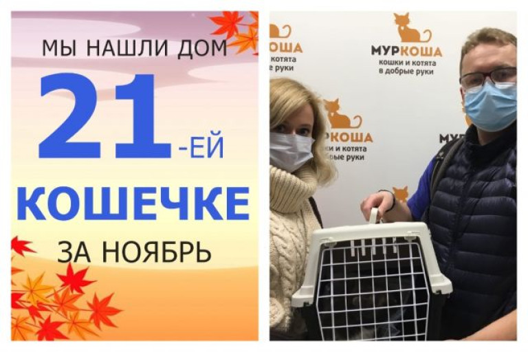 Кошечка Флёрдоранж начинает долгожданную домашнюю жизнь!