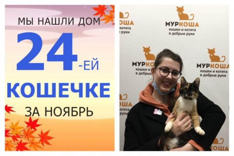 Кошечка Татоша вытянула счастливый билет!