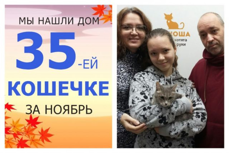Кошечка Лунита стала частью большой и дружной семьи!