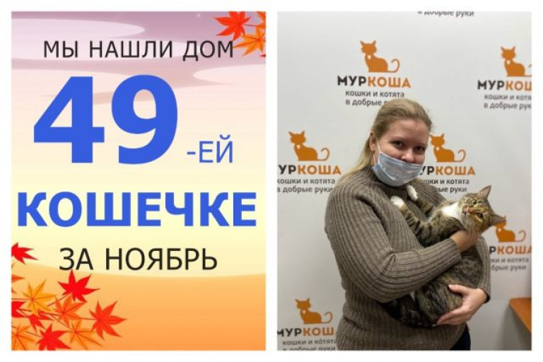 Кошечка Симха встретила заботливую хозяйку!