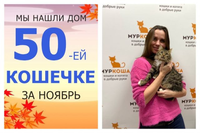 Годовалая кошечка Штучка стала домашней и счастливой!