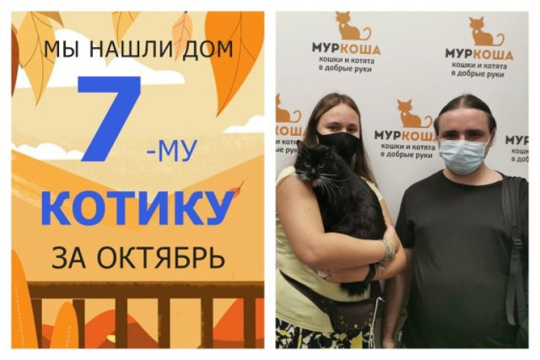 Котик Идальго обрел домашнее счастье!