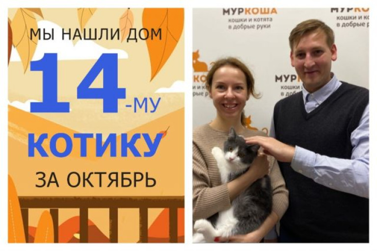 Котик Мерс встретил любящую семью!
