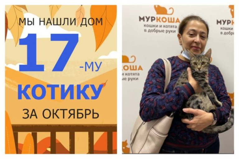Котёнок Гранди начинает счастливую домашнюю жизнь!
