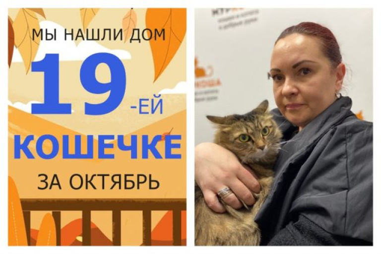 У кошечки Нормы появилась заботливая хозяйка!
