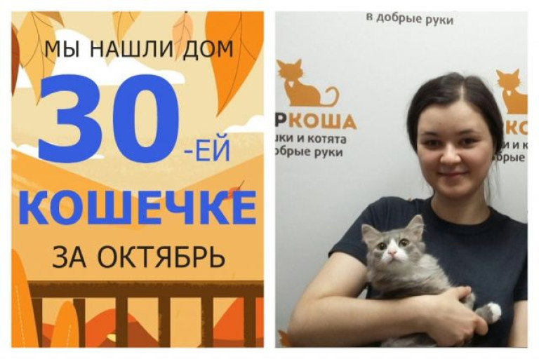 Нежная кошечка Касуми встретила свою семью!