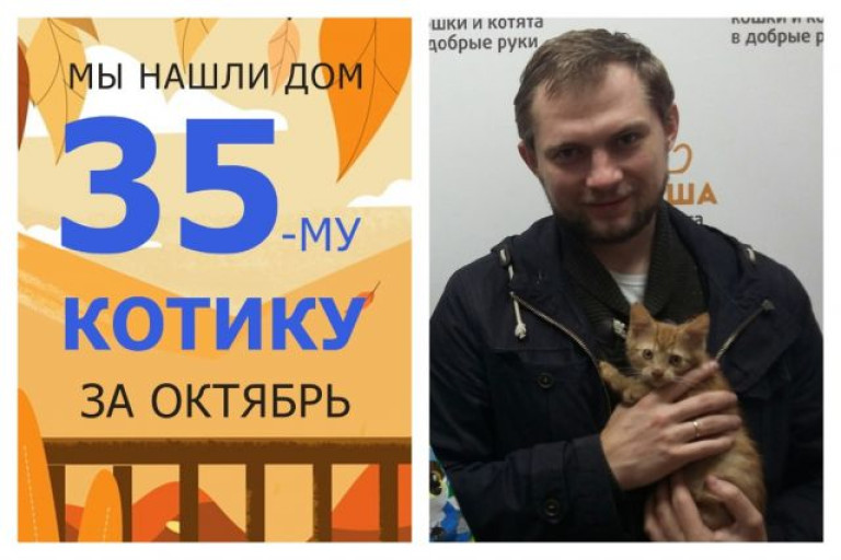 Котенок Песочек отправился в домашнюю жизнь!