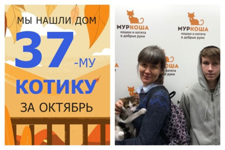 Котенок Гришаня теперь домашний любимец!