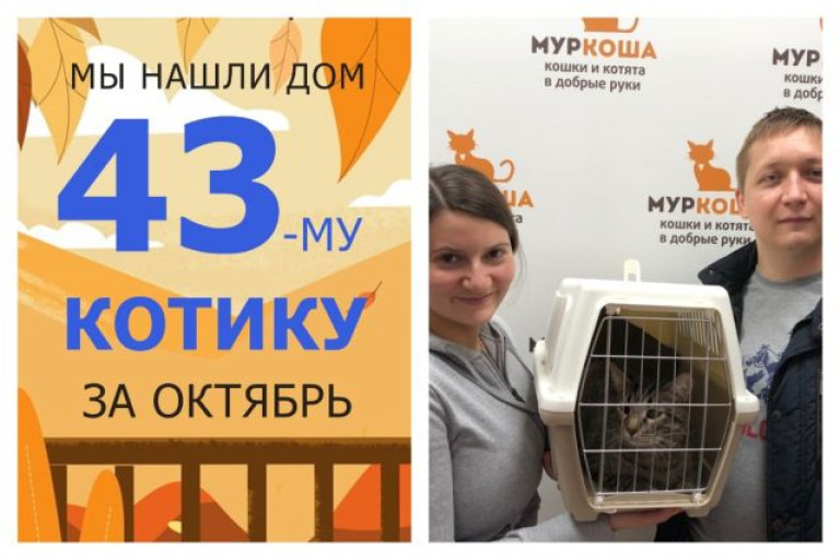 Котик Мариус обрел домашнее счастье!