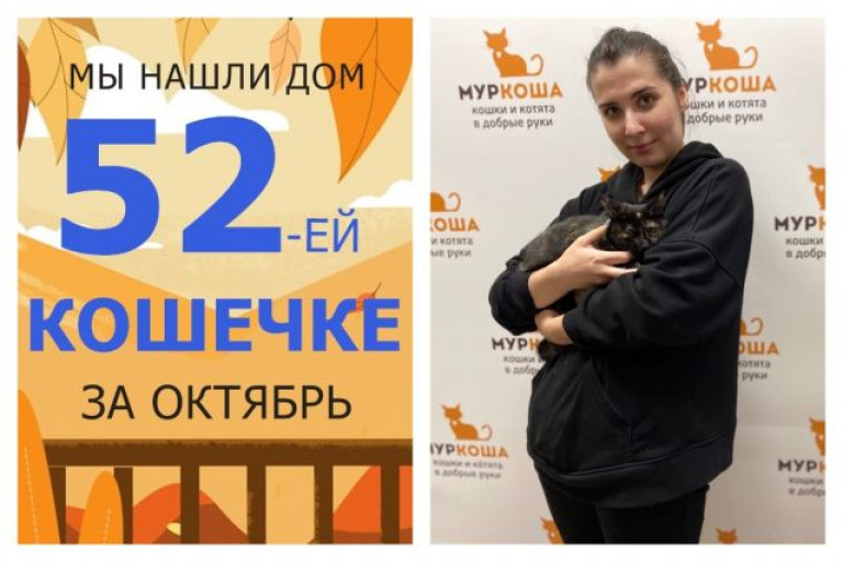 У кошечки Кнопушки появилась заботливая хозяйка!