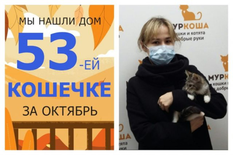 Кошечка Пуговка отправилась домой!