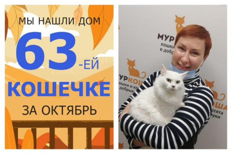 Кошечка Сгущёнка теперь домашняя!