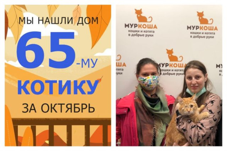 Котенок Чак-чак уезжает в свой новый дом!