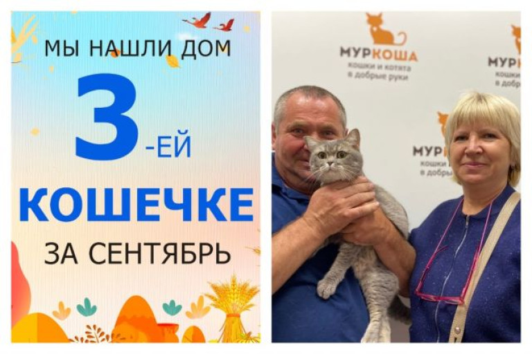 У кошечки Помпеи появилась заботливая семья!