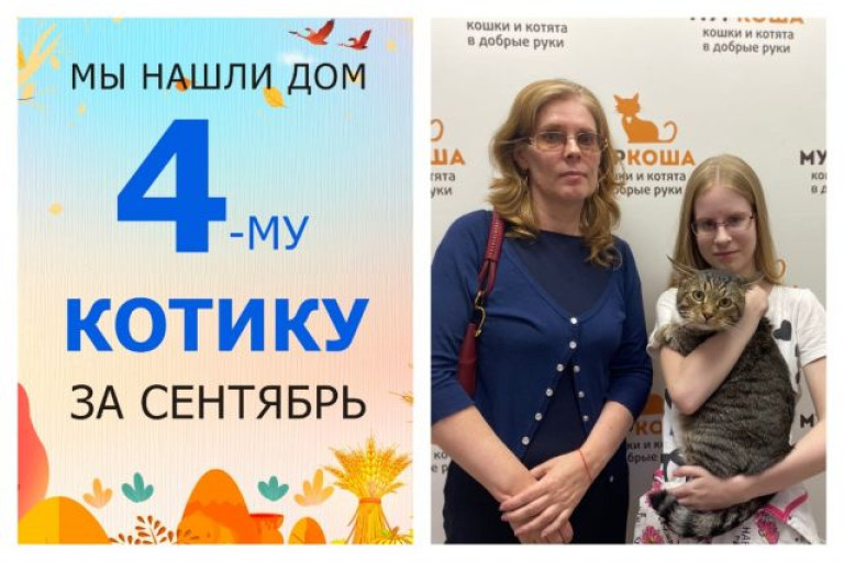 Котик Фенёк нашел дом за десять дней!