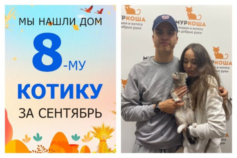 Котёнок Маслёнок уезжает домой!