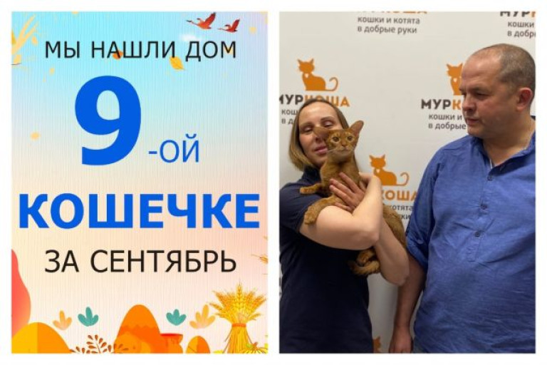 Кошечка Ила стала домашней за полтора месяца!