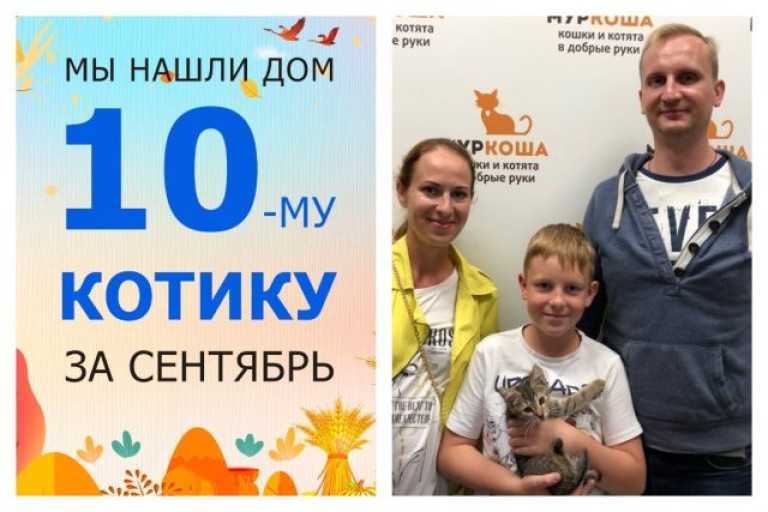У котёнка Славки появилась настоящая семья!