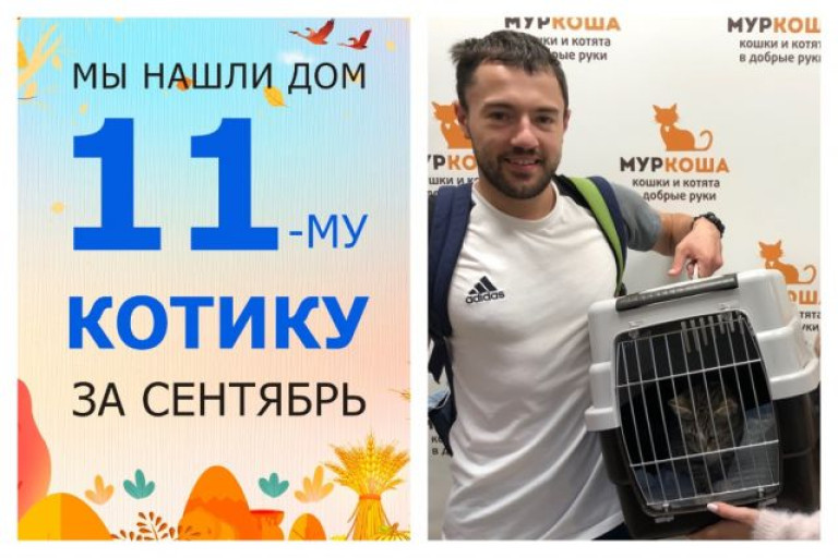 Милый Кентуки стал домашним котиком!