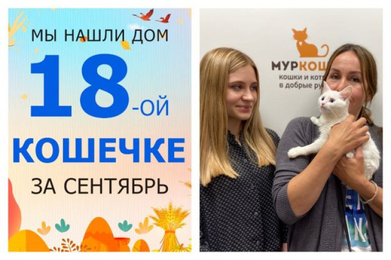 Крошка Волнушка обрела семью и дом!