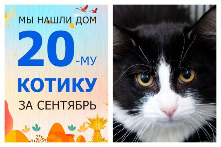 Малыш Федя нашел дом за одну неделю!