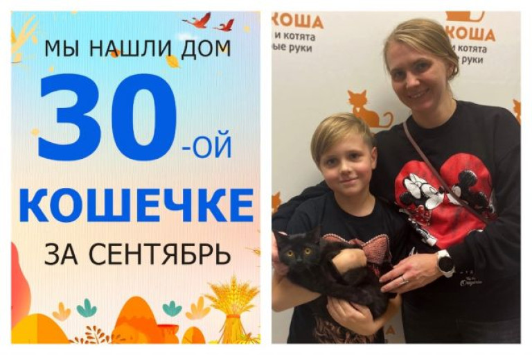 Кошечка Дорис встретила свою семью!