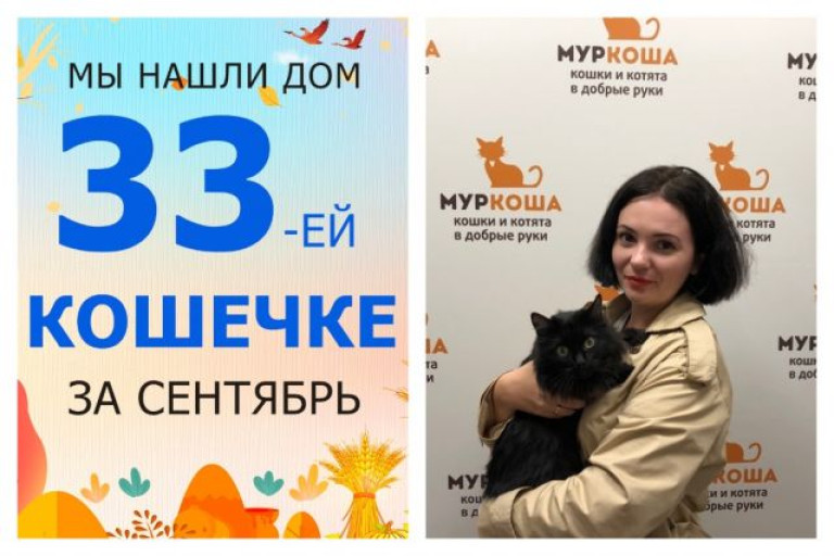 У восьмилетней кошечки Мариетты начинается новая жизнь!
