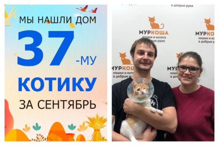 Крошка Биточек теперь домашний и счастливый!