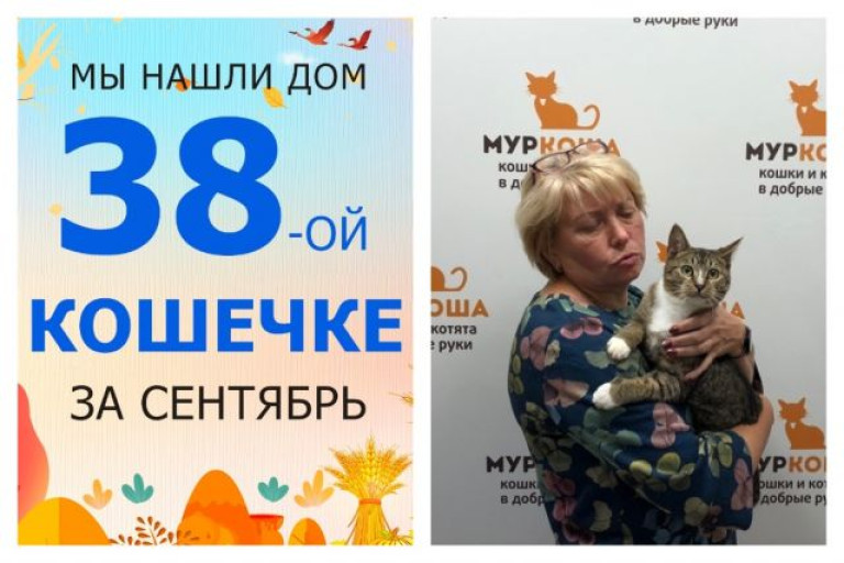 Нежная кошечка Вильда встретила любящую хозяйку!