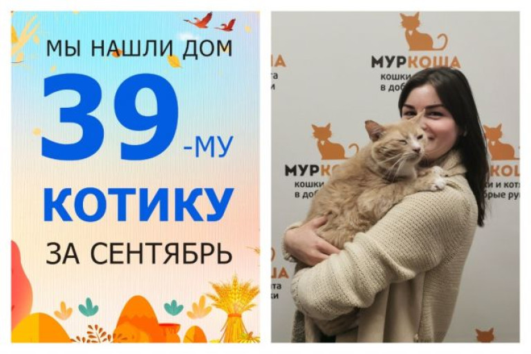 Шестилетний котик Рузик отправился в прекрасный новый дом!