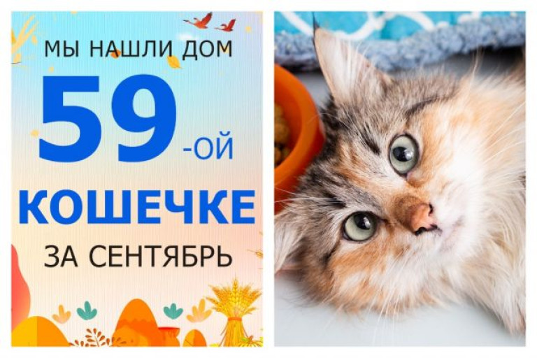 Кошечка Устина начинает жизнь с чистого листа!