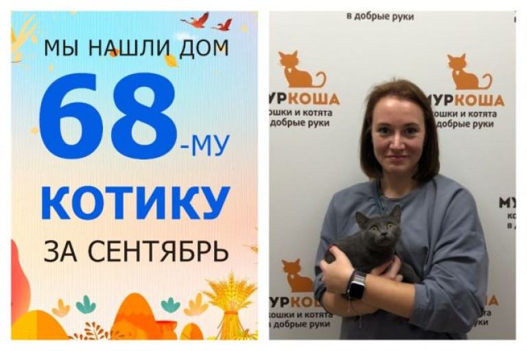 Котёнок Дантес встретил заботливую хозяйку!