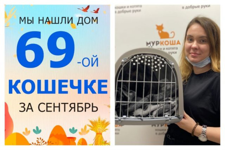 У кошечки Бамбучи начинается домашняя жизнь!